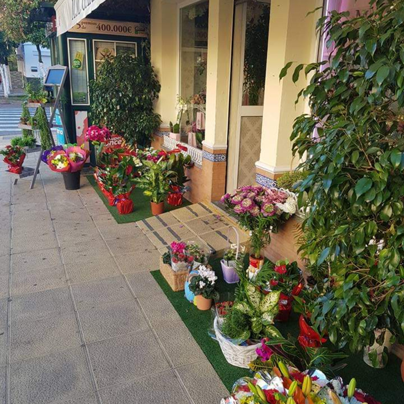 Ponerle color a un rinconcito de casa nos llenará de energía.
Regala flores a quien echamos  en falta, será nuestra forma de decirle “Te Quiero”.
Seguimos atendiendo todos vuestros encargos desde casa. Recuerda que también hacemos envíos a domicilio.