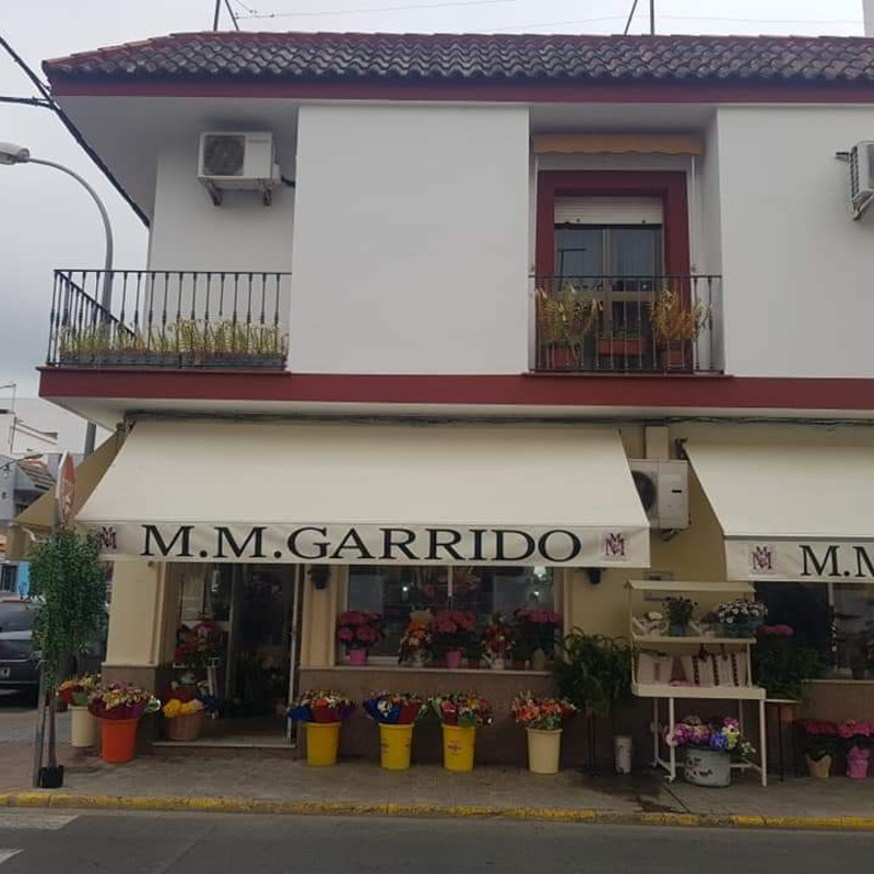 Ponerle color a un rinconcito de casa nos llenará de energía.
Regala flores a quien echamos  en falta, será nuestra forma de decirle “Te Quiero”.
Seguimos atendiendo todos vuestros encargos desde casa. Recuerda que también hacemos envíos a domicilio.