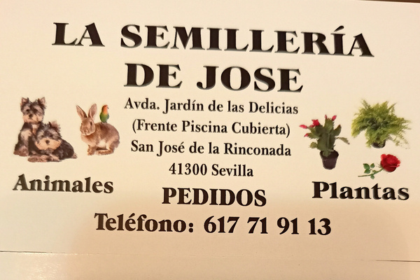 Animales de compañía, plantas, peces y semillas.