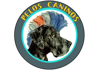 PELUQUERÍA PELOS CANINOS