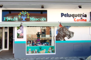 Planta & Mascota